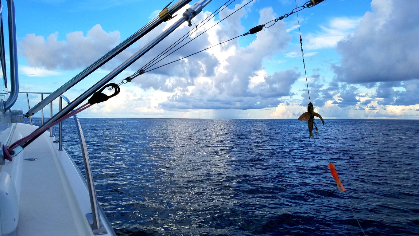 Calling All Anglers: The Puerto Vallarta International Fishing Tournament Starts Soon!